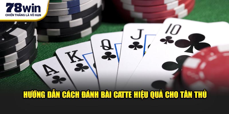 Hướng dẫn cách đánh bài catte hiệu quả cho tân thủ